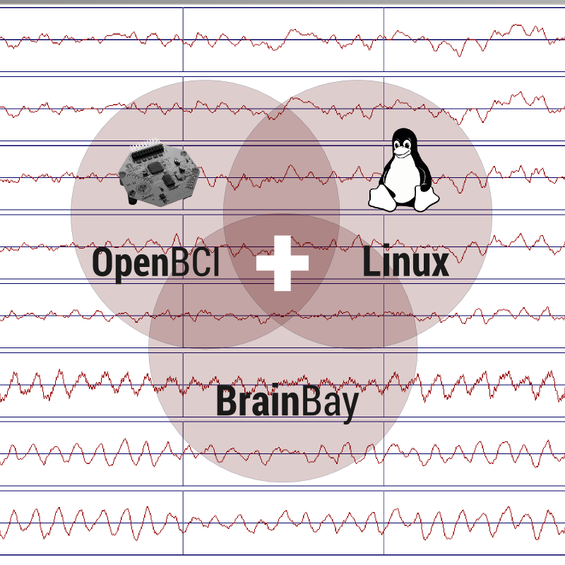 Use BrainBay + OpenBCI on Linux with Wine